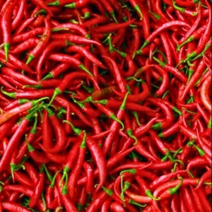 Indonesian Big Red Chili Peppers: Fresh, Spicy, Non-GMO