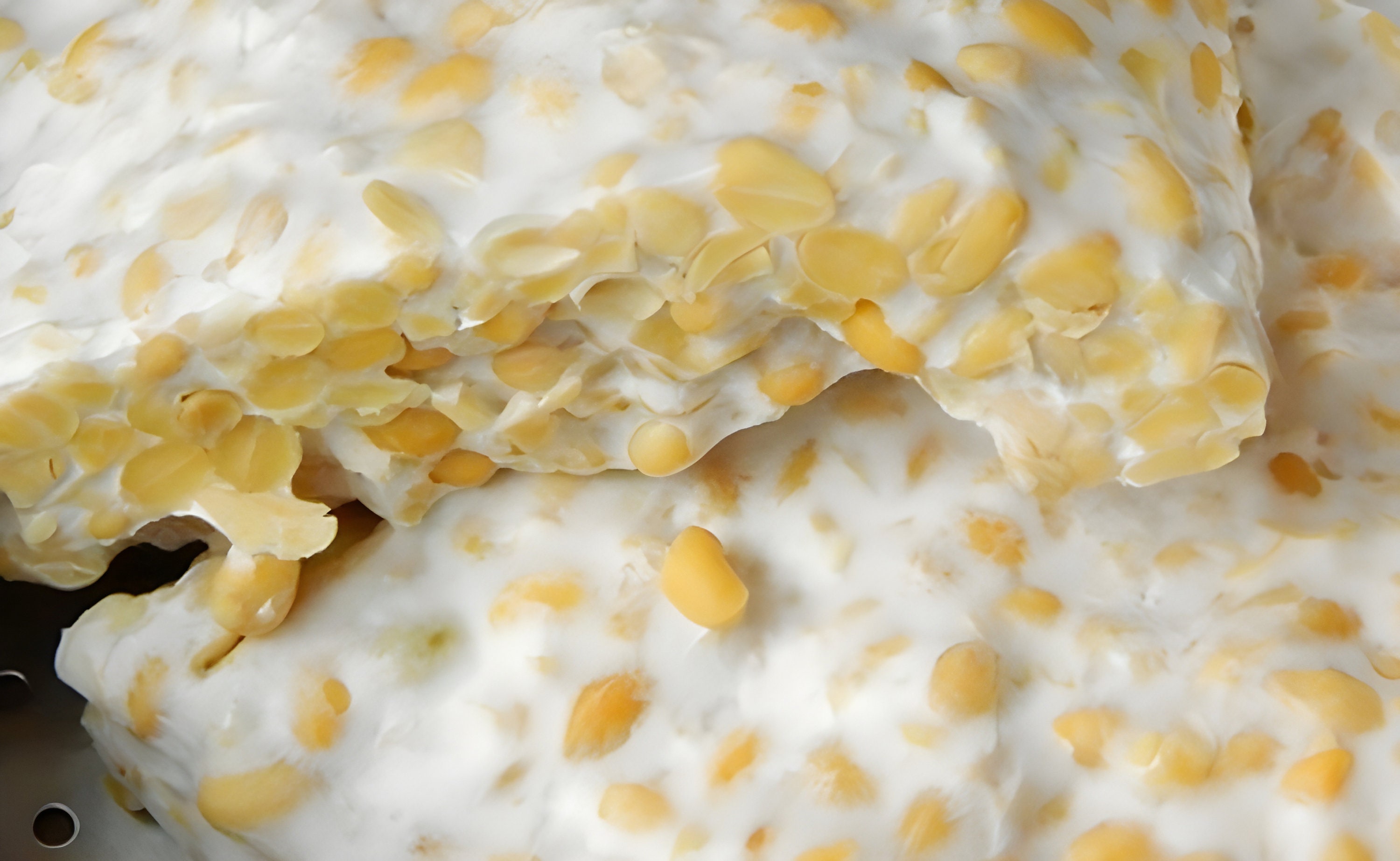 Organic Tempeh Starter Kit Homemade Tempeh Instructions, Starter