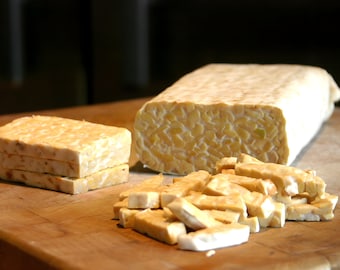 Organic Tempeh Starter Kit: Homemade Vegan Cooking (Recipe Cookbook)