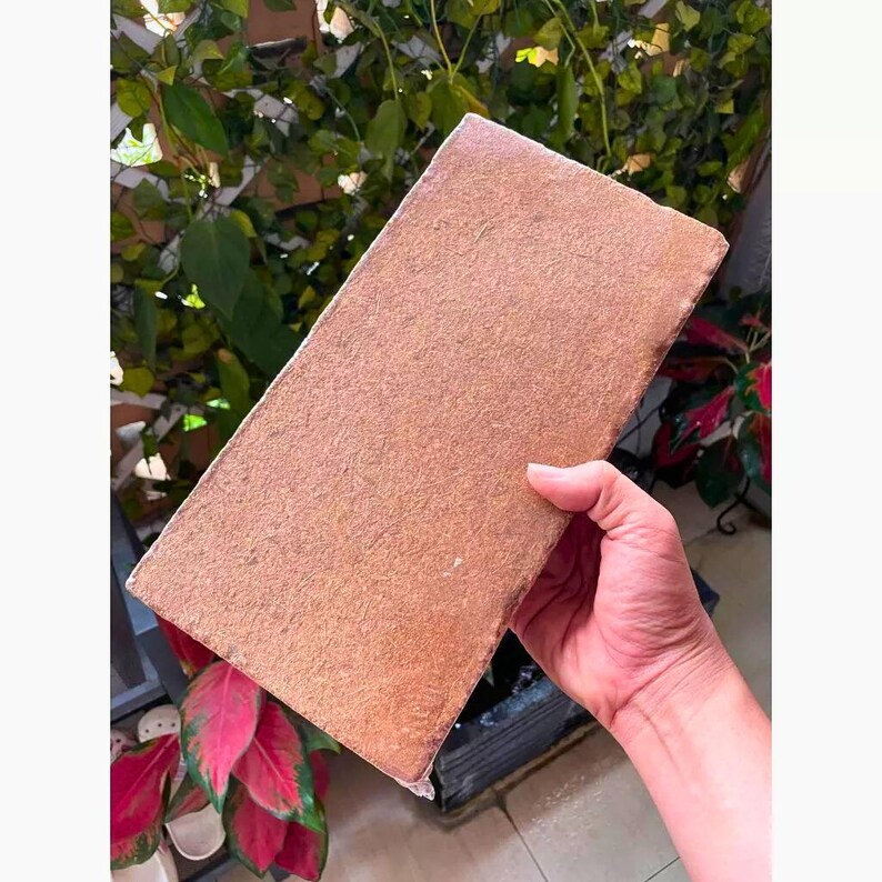 Puede incluir: Un objeto rectangular, marr&oacute;n y texturizado se sostiene en una mano. El objeto parece estar hecho de un material fibroso, posiblemente cart&oacute;n o un compuesto similar. El fondo presenta follaje verde y plantas rojas y verdes.