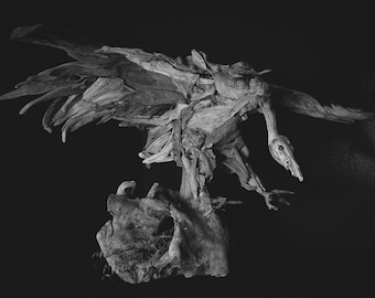 Driftwood Vulture Sculpture
