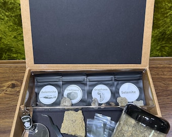 Real Fossil Digging Kit: Genuine Paleontology Discovery