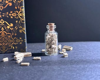 Crinoid Fossil Jar (35+ Pieces) | Authentic Wyoming Sea Lily Fossils | Bighorn Basin Specimens