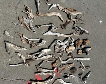 50+ Driftwood pieces  For Arts and Crafts, Assorted natural driftwood pieces
