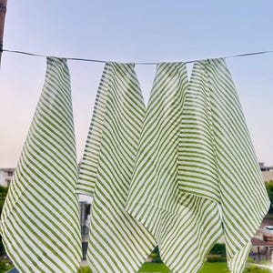 Hand Block Print Cotton Napkins: Striped Green Reusable Cloth