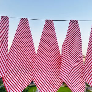 Hand Block Print Christmas Cotton Napkins: Striped Red Reusable Cloth