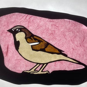 May include: A brown and white sparrow with a black eye is perched on a pink background with a black border.