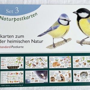 Natur Postkarten Set 3 / Jahreszeitentisch / Naturpostkarten / Biene / Honigbiene / Frösche / Wawra / Natur