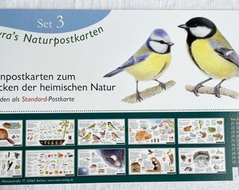 Nature postcard set 3 / season table / nature postcards / bee / honeybee / frogs / wawra / nature
