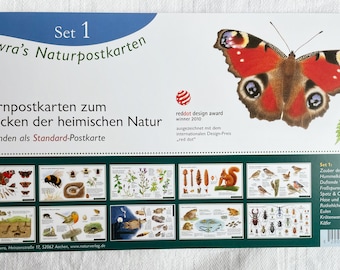 Nature postcard set 1 / season table / nature postcards / bumblebee / beetle / robin / owl / wawra / nature