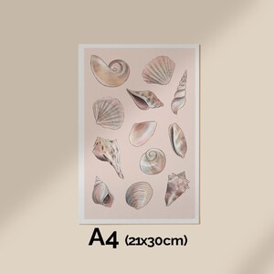 Affiche COQUILLAGES illustrée décoration poster