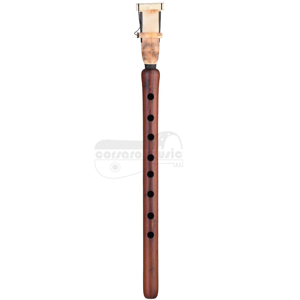 Apricot Wood Duduk – Armenian Balaban Flute With Reed & Case - Etsy