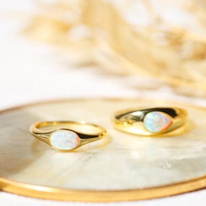May include: Two gold rings, each featuring an oval opal stone, are displayed on a round, gold-edged tray. The rings are set against a soft, neutral backdrop with dried foliage, creating a minimalist aesthetic. The rings are a classic jewelry item.