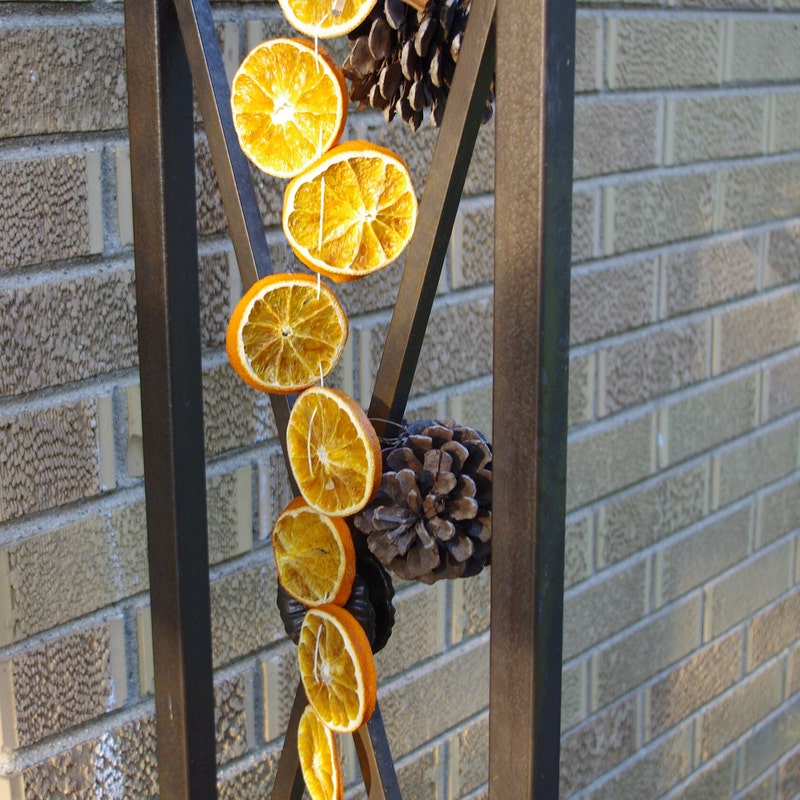 Dried Orange Slices - Etsy