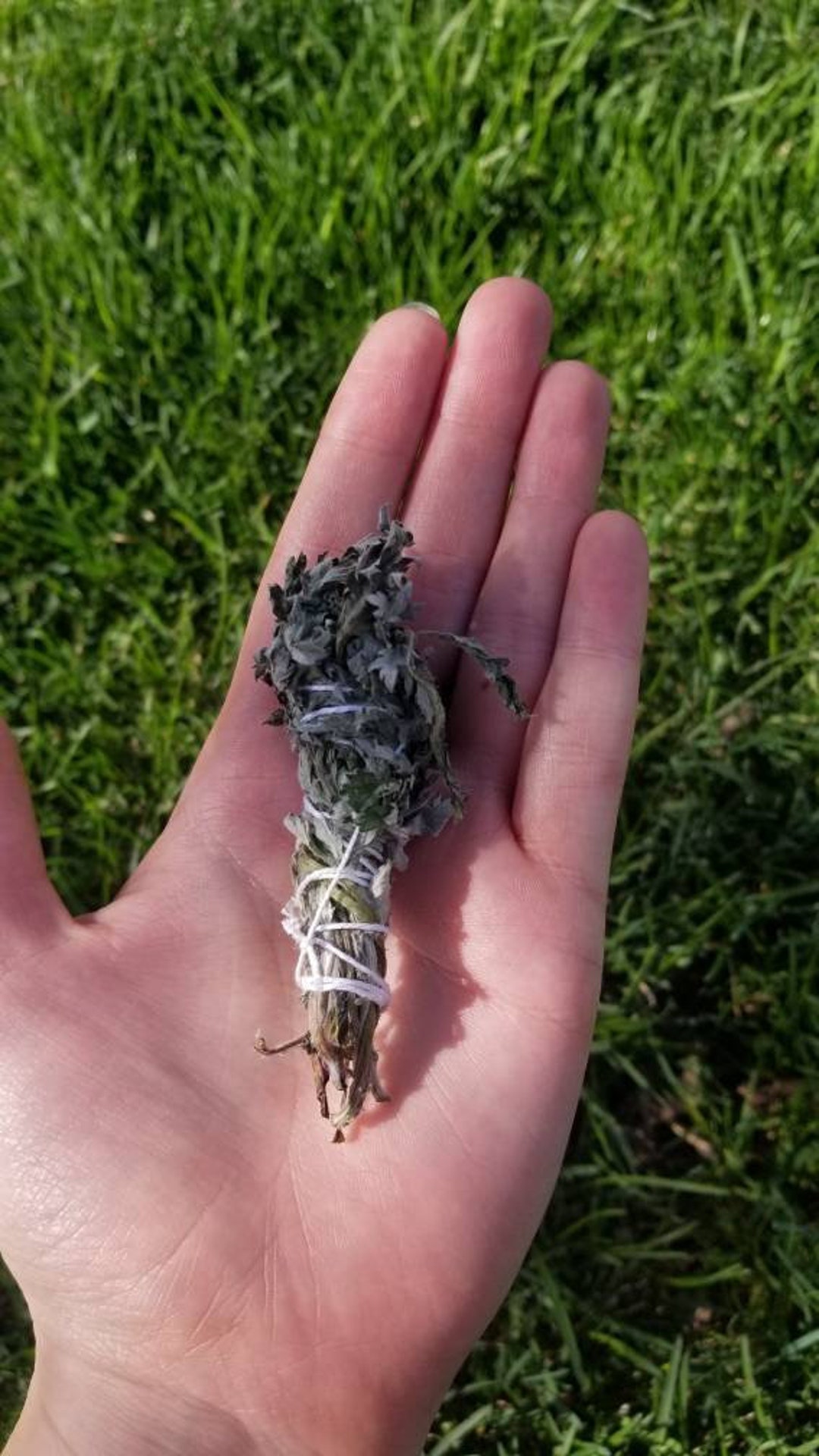 Mugwort Herb Bundles for Smoke Cleansing Handmade & Organic S Etsy.de