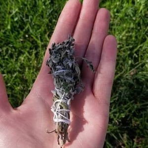 Mugwort Herb Bundles for Smoke Cleansing Handmade & Organic S, M, L from my Garden Wrapped with Cotton Thread