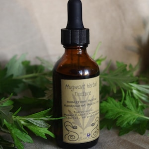 Organic Mugwort Herbal Tincture Made from Homegrown Plant Material- 4 oz Jar