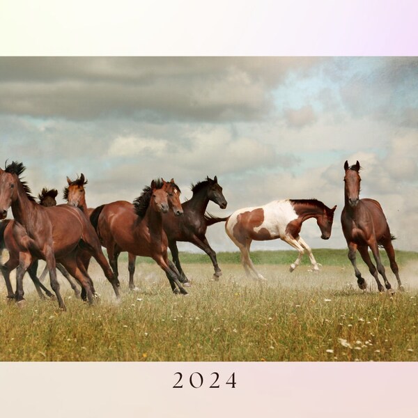 2024 Horses Calendar Etsy