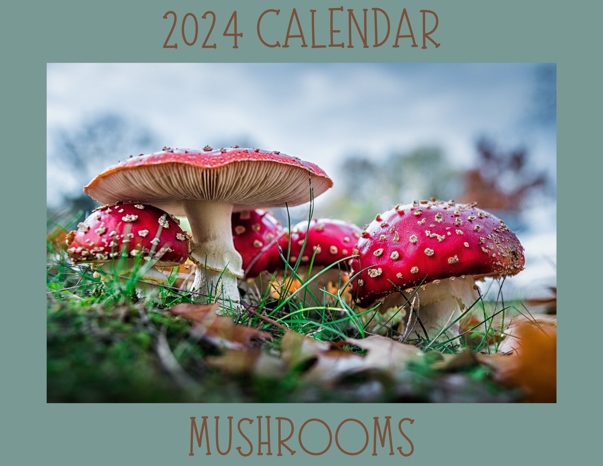 Enchanted Fungi 2024 Mushroom Wall Calendar Digital Download (Download