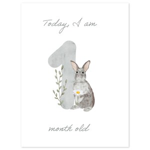 Cartes d'étape mensuelles imprimables - cadeau parfait pour une baby shower - Illustrations aquarelles en téléchargement numérique