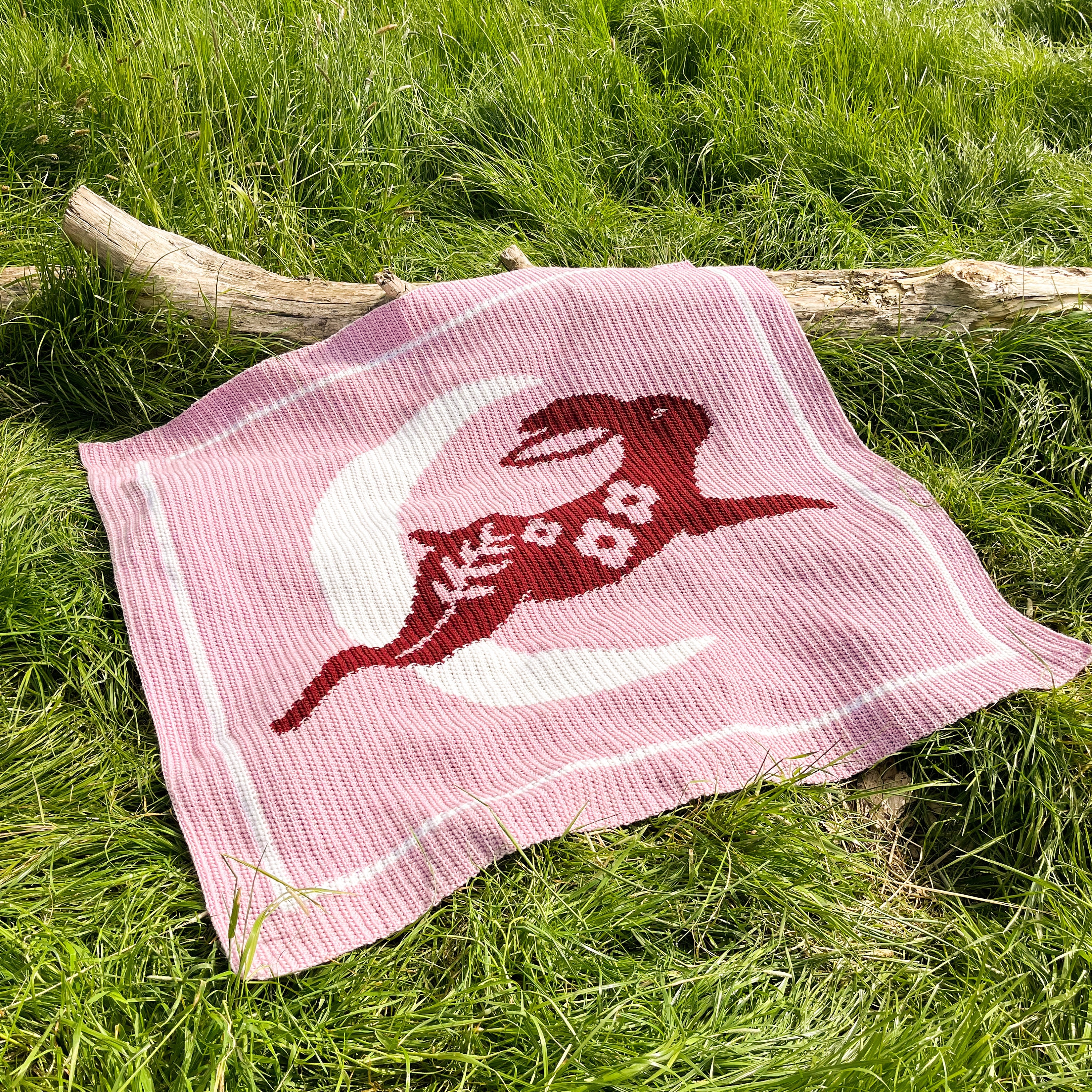 0622-8 DOUBLE BLANKET / HARE ダブルブランケット /