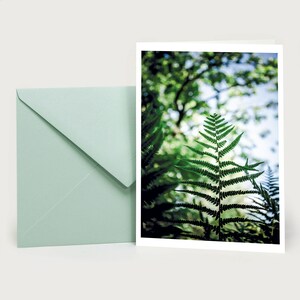 Fougère, Deuil, Carte pliante + Enveloppe, Souvenir, Adieu, Carte enveloppe, Carte de vœux, Nature, Botanique, Bonnes cartes