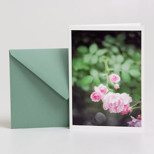 Jardin de roses, deuil, carte pliante + enveloppe, carte de voeux, adieu, souvenir, nature, botanique, bonnes cartes