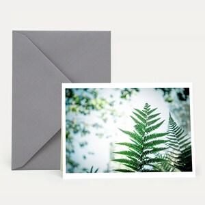 fougère, deuil, cartes pliantes, enveloppe, souvenir, adieu, carte enveloppe, carte de voeux, nature, botanique