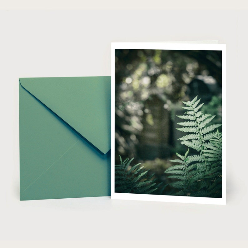 Fern, mourning card, folding card, envelope card, remembrance, farewell, nature, botany image 4