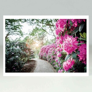 Rhododendron Park, Postkarte, Park, Botanik, Fotografie, Gute Karten