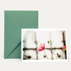 Coquelicot, carte pliante + enveloppe, carte de vœux, carte cadeau, carte de condoléances, félicitations, merci, invitation, adieu, commémoration, bonnes cartes