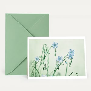 Fleurs sauvages, carte pliante, deuil, condoléances, adieu, souvenir, souvenir, botanique