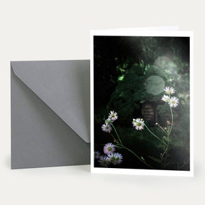 Silence, camomille, deuil, carte pliante + enveloppe, carte de condoléances, carte de vœux, adieu, souvenir, nature, botanique, bonnes cartes