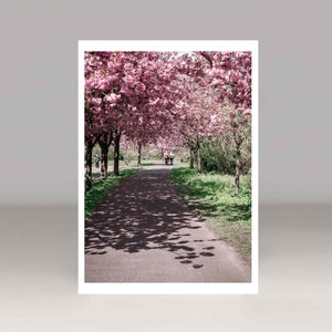 Mauerweg Berlino, cartolina, vicolo dei fiori di ciliegio, primavera, Germania, punto di riferimento, strisce murali, biglietto di auguri, San Valentino, San Valentino, fotografia