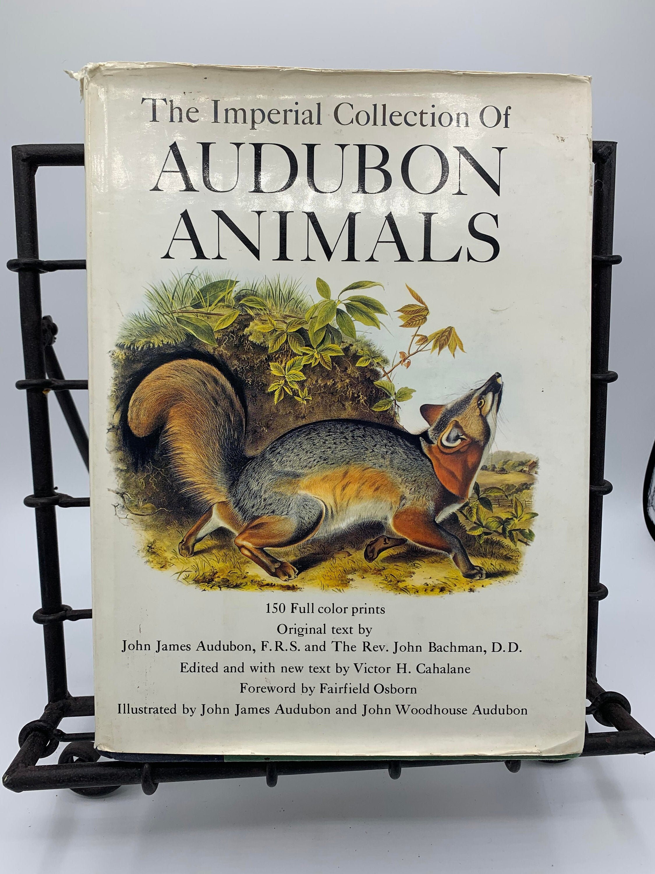 Vintage Audubon book Etsy