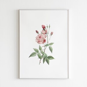 Pink Floral Prints, Set of 3, Flower Prints, Rose Print, Botanical Wall Art, Flower Bouquet Print, Nature Wall Art, Home Prints zdjęcie 5