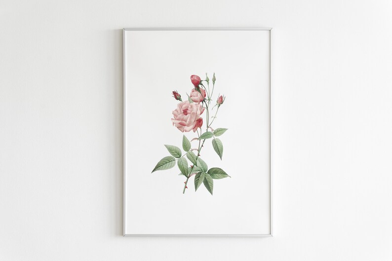 Pink Floral Prints, Set of 3, Flower Prints, Rose Print, Botanical Wall Art, Flower Bouquet Print, Nature Wall Art, Home Prints zdjęcie 5