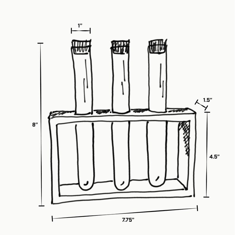 3 Tube Propagation Station 画像 4