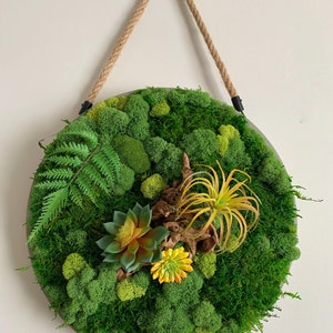 Round Moss Art-with wood, succulents & air plant