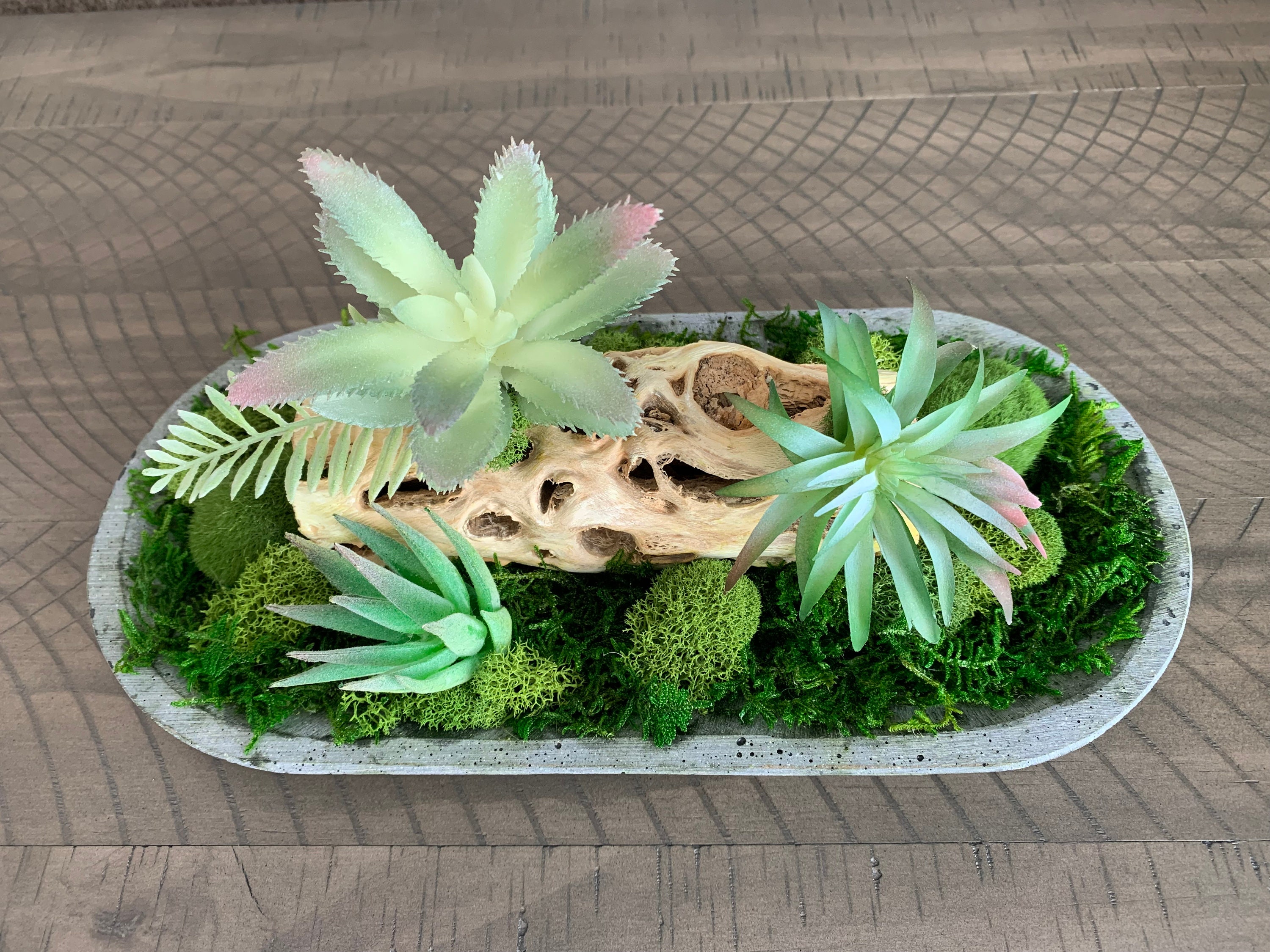 Moss & Cholla Wood Traywith Air Plant and Succulents Etsy