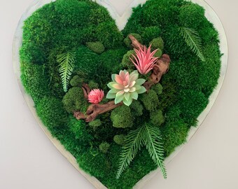 Heart Moss Hanging-18.5 inch-with driftwood, succulents & fern leaves