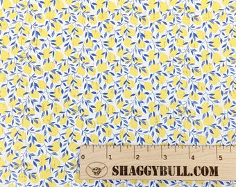 Leather Backed Cork Lemons 8"x10", 4"x6" (Cork Applied to Real Genuine Cowhide Leather) 4-5oz / 1.8-2mm
