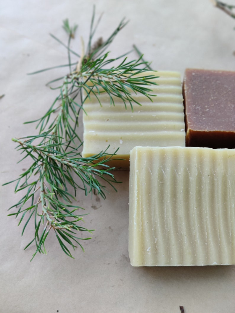 Cedar and Pine Scented Soap Etsy