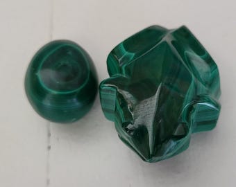 malachite frog and egg