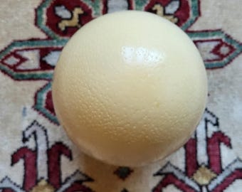 Ostrich egg, 1970s