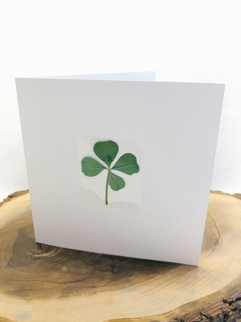 Four Leaf Clover Greeting Card 5.5 X 5.5 Good Etsy