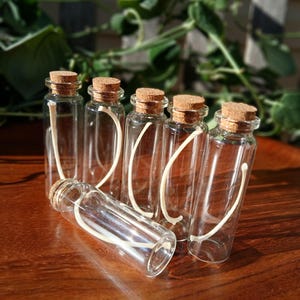 Puede incluir: Una colecci&oacute;n de peque&ntilde;as botellas de vidrio transparente con tapones de corcho. Cada botella tiene una cuerda blanca y curvada. Una botella est&aacute; tumbada de lado. Las botellas est&aacute;n dispuestas sobre una superficie de madera, con vegetaci&oacute;n en el fondo.