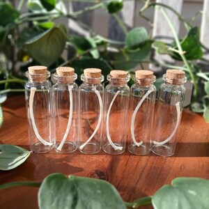 Puede incluir: Seis peque&ntilde;as botellas de vidrio transparente con tapones de corcho. Cada botella contiene un objeto blanco curvado. Las botellas est&aacute;n dispuestas sobre una superficie de madera, con follaje verde en el fondo.