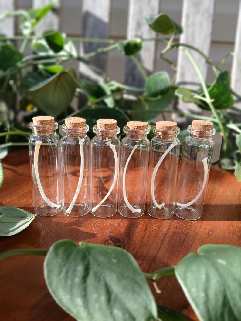 Puede incluir: Seis peque&ntilde;as botellas de vidrio transparente con tapones de corcho. Cada botella contiene un objeto blanco curvado. Las botellas est&aacute;n dispuestas sobre una superficie de madera, con follaje verde en el fondo.