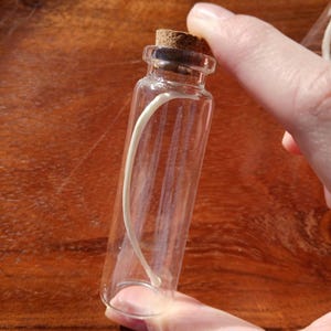 Puede incluir: Una peque&ntilde;a botella de vidrio transparente con tap&oacute;n de corcho, que contiene un objeto delgado, curvado y blanquecino. La botella se sostiene contra una superficie de madera. La botella mide unos 7,6 cm de alto.